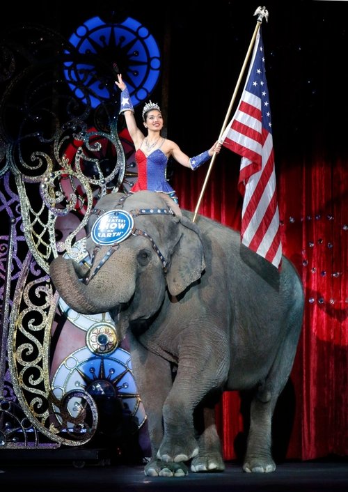 Ringling Bros. and Barnum & Bailey Final Performance movie poster player
