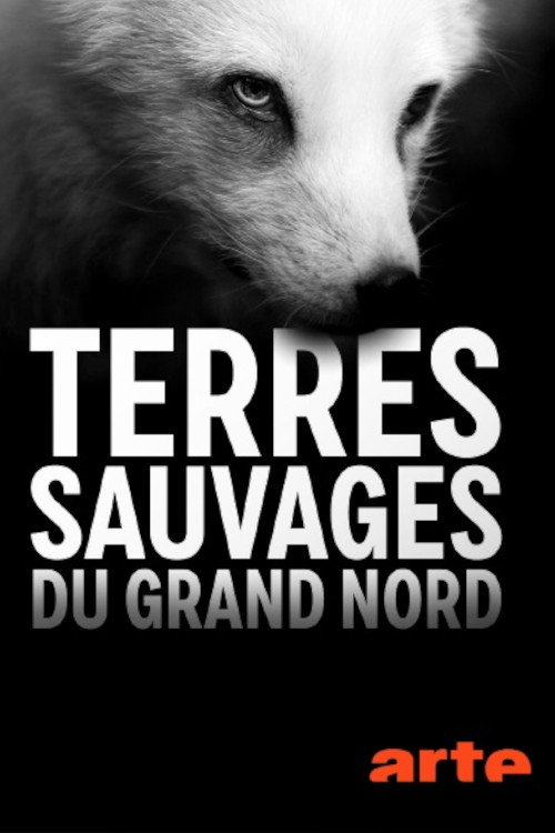 Póster oficial de Terres sauvages du Grand Nord (2020) - Documentary