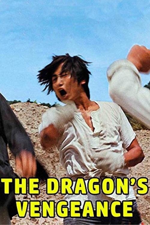 The Dragon's Vengeance Movie Poster Image