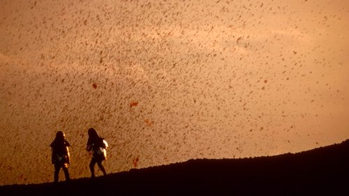 movie backdrop 8