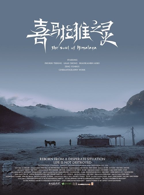 喜马拉雅之灵 movie poster player