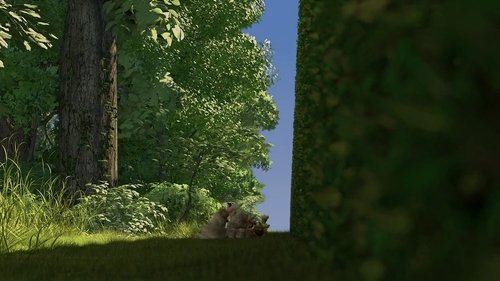 Backdrops