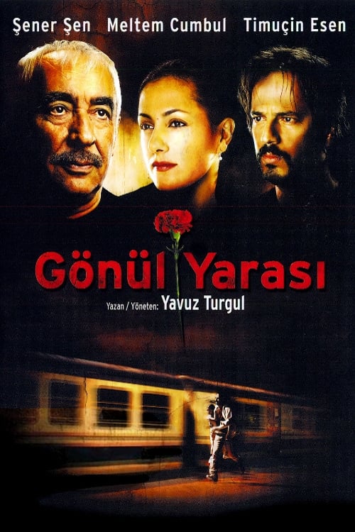 Gönül Yarası 2005