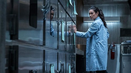 The Possession of Hannah Grace (2018)