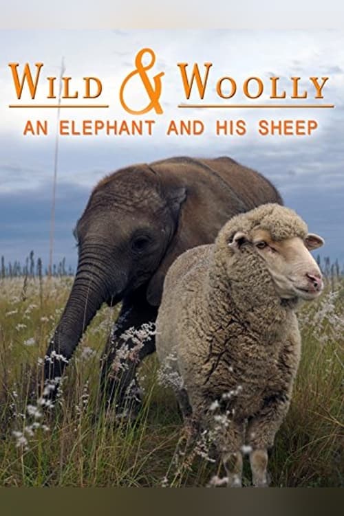Wild & Woolly: An Elephant And His Sheep poster