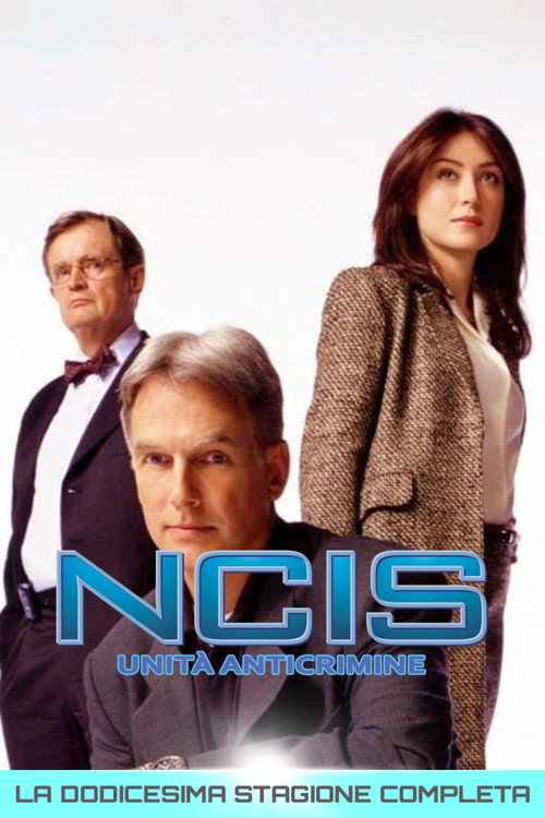 NCIS - Unità anticrimine — Stagione 12