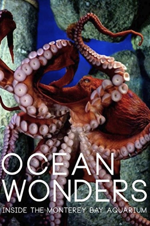 Ocean Wonders - Inside the Monterey Bay Aquarium Movie Poster Image