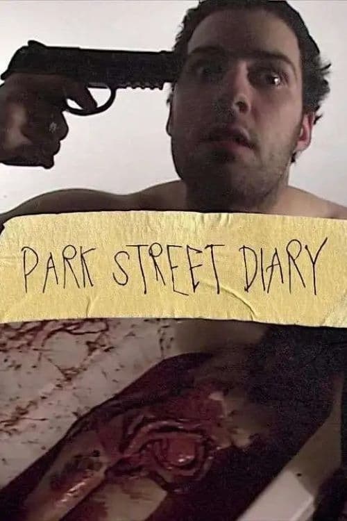 Park Street Diary (2021) poster