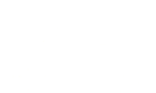 On the Third Day Arrived the Crow