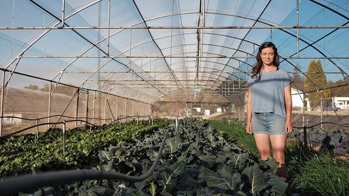 Eat, Grow, Love - Season 1 Backdrop Blur