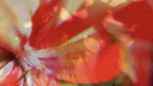 BRISE Backdrop Blur