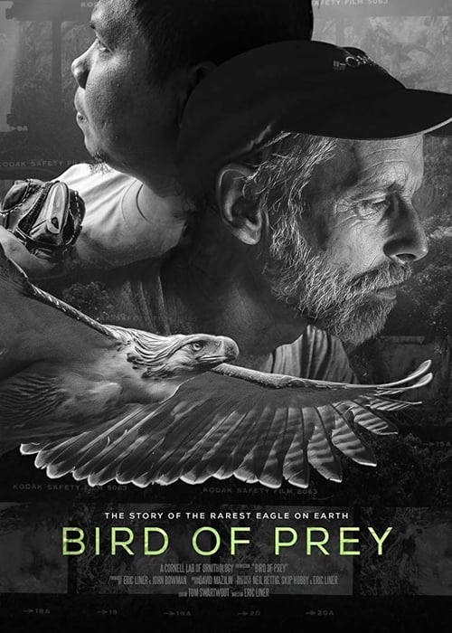 Bird of Prey poster