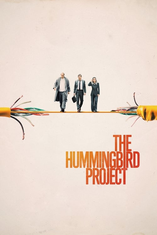 Largescale poster for The Hummingbird Project