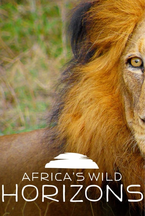 Africa's Wild Horizons poster