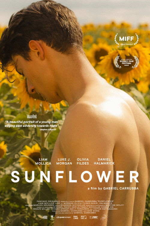 Sunflower poster