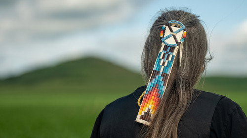 Ireland and the First Nations