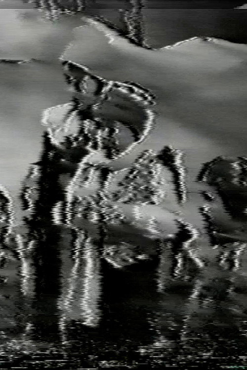 1/4 / C regeneraciones de VHS a VHS