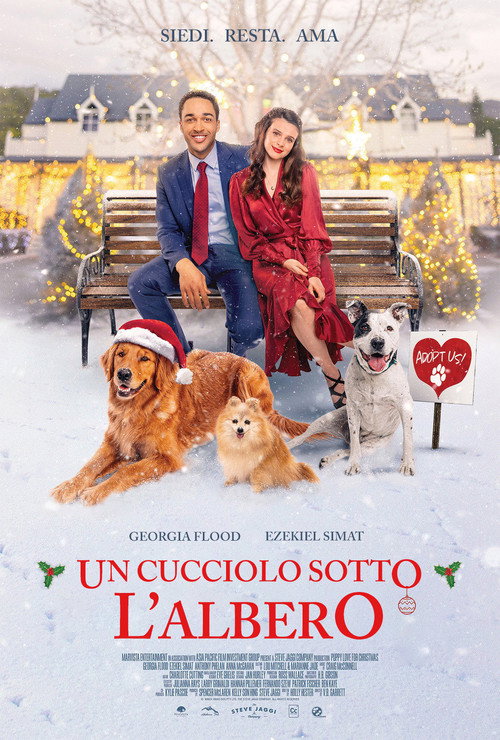 Un cucciolo sotto l'albero