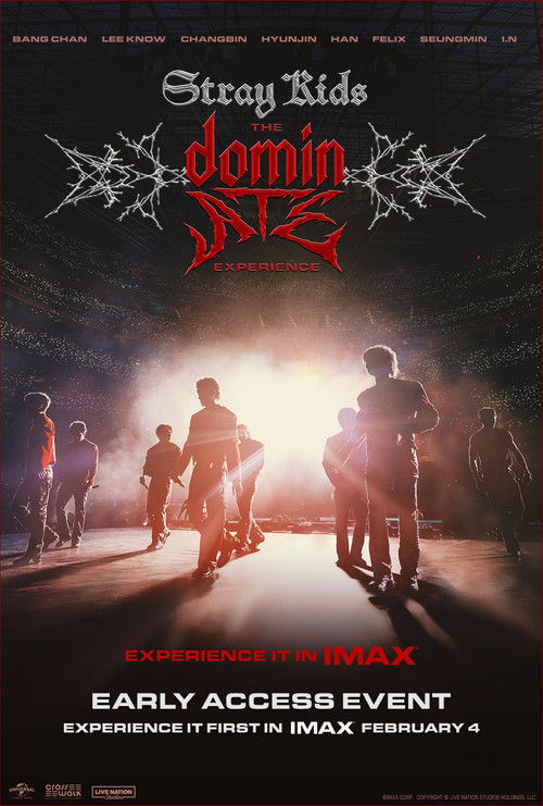 Stray Kids: The dominATE Experience poster