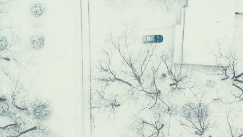 Dead of Winter