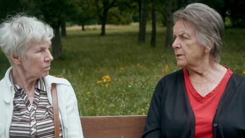 This Must Be The Place