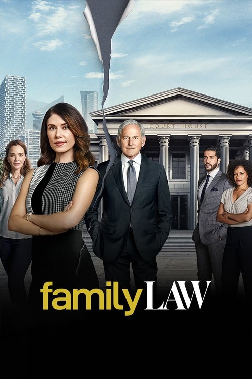 Family Law (CA) - Saison 1