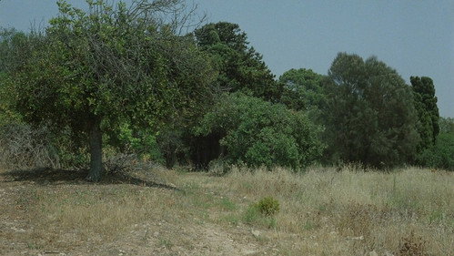 The Death of Empedocles