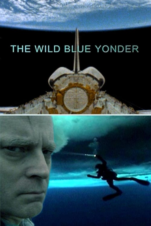 Grootschalige poster van The Wild Blue Yonder