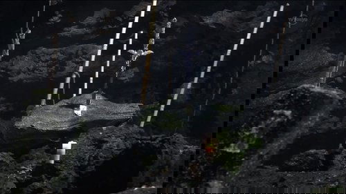 Image de l'épisode 1
