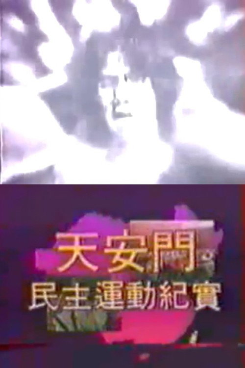 天安门民主运动纪实