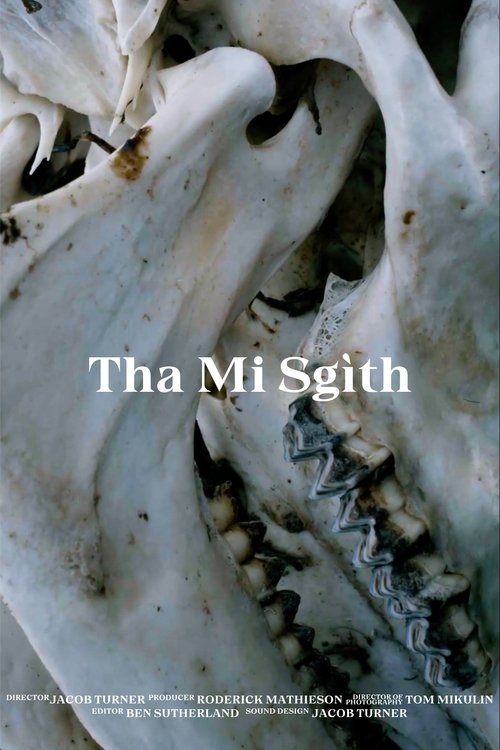 Poster image du film Tha Mi Sgìth Tha Mi Sgìth