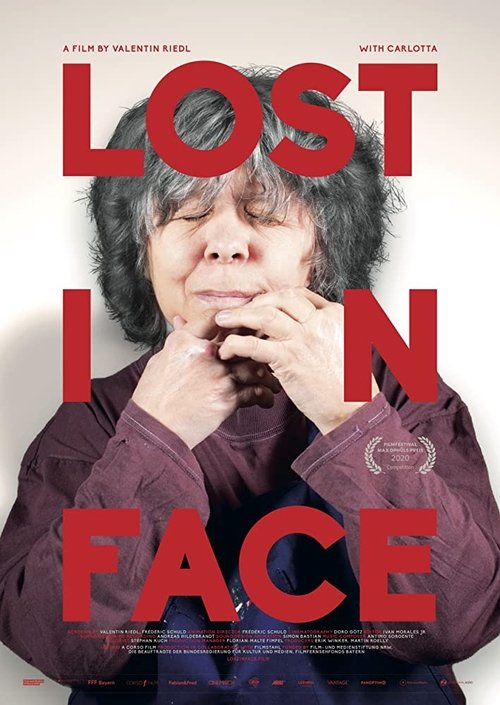 Lost in Face 2020