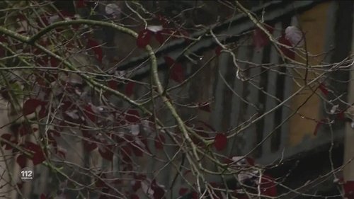 Image de l'épisode 201