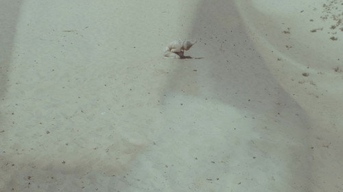 Blessed Are Those Who Grieve