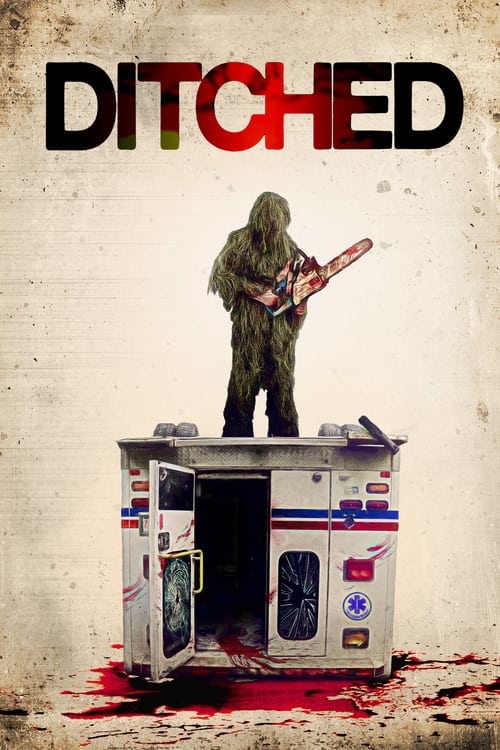 Ditched poster