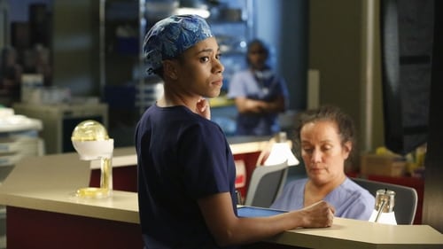 Grey's Anatomy - Season 11 - Episode 11: All I Could Do Was Cry