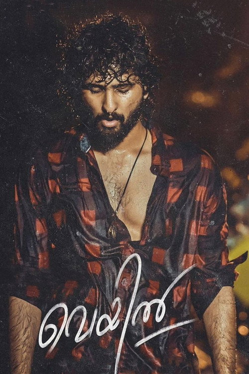 Veyil poster