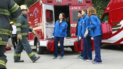 Grey's Anatomy - Season 11 - Episode 23: Time Stops