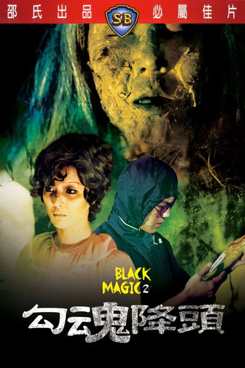 Black Magic 2 poster