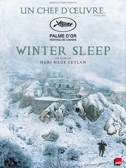 Winter Sleep poster