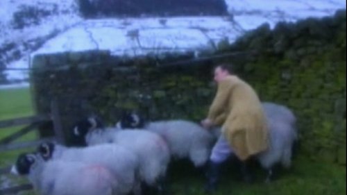 Image de l'épisode 4