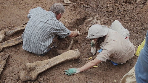 Perm Antiquities. The Elephant of Okhansk