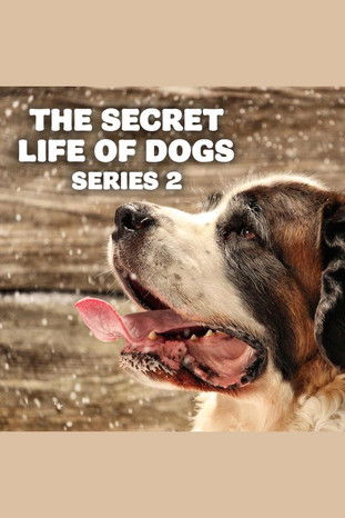 Escena 3 de The Secret Life of Dogs