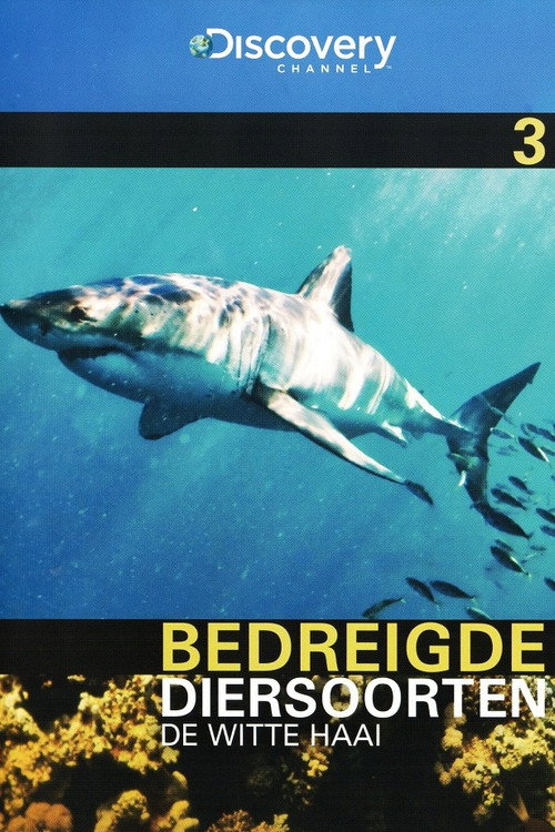 Bedreigde Diersoorten 03: De Witte Haai