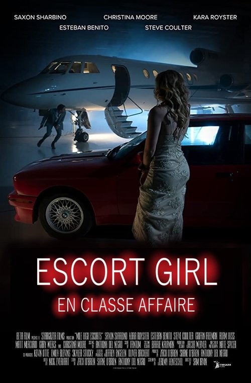 Poster image du film Escort Girl en classe affaires Escort Girl en classe affaires