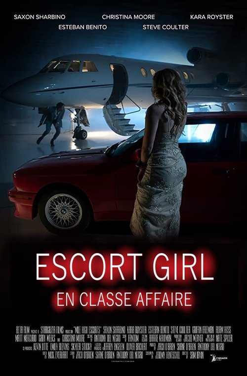 Escort Girl en classe affaires (2020)