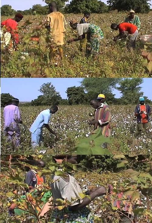 Bauern! (Farmers!) (2007) poster