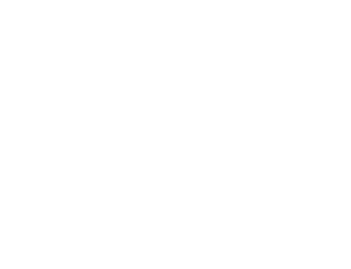 Macon County Line