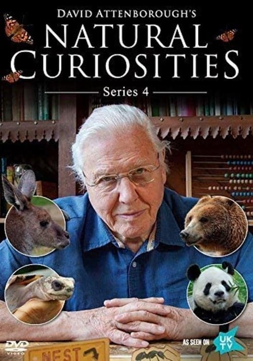 Where to stream David Attenborough's Natural Curiosities Season 4
