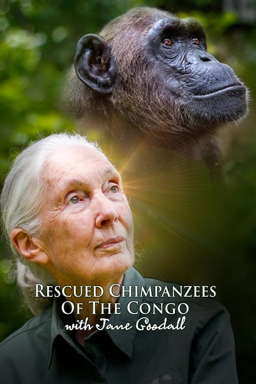 Rescued Chimpanzees of the Congo with Jane Goodall (2021)
